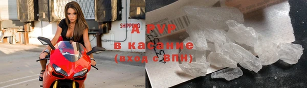 гидра Волоколамск
