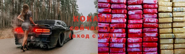 гидра Волоколамск