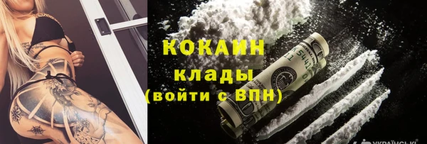шишки Волосово