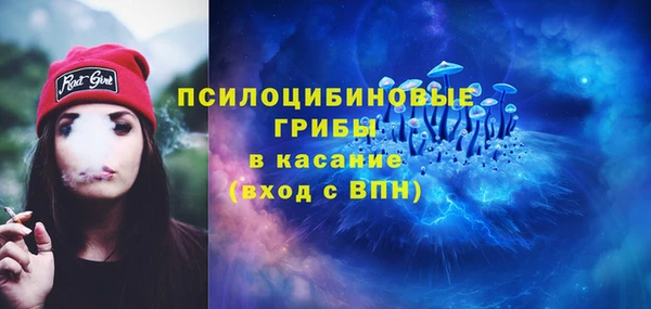 крисы Вязьма