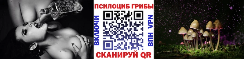 Галлюциногенные грибы прущие грибы  Демидов 